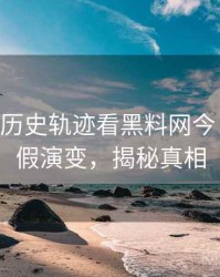 1310. 从历史轨迹看黑料网今日财务造假演变，揭秘真相
