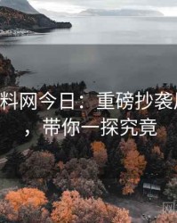 0005. 黑料网今日：重磅抄袭风波盘点，带你一探究竟