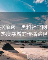 1432. 数据解密：黑料社官网直播事故热度暴增的传播路径
