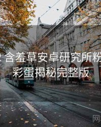 2019-12 含羞草安卓研究所粉丝狂欢：彩蛋揭秘完整版