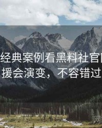 1447. 从经典案例看黑料社官网粉丝后援会演变，不容错过