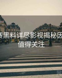 每日大赛黑料详尽影视揭秘因果梳理，值得关注