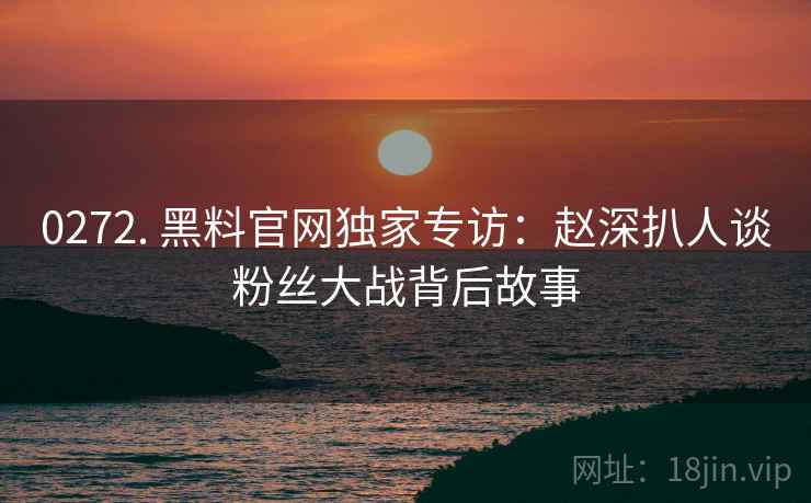 0272. 黑料官网独家专访：赵深扒人谈粉丝大战背后故事