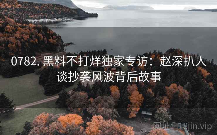 0782. 黑料不打烊独家专访：赵深扒人谈抄袭风波背后故事
